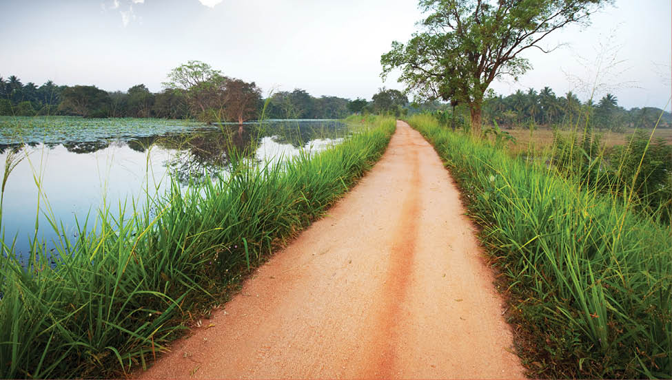 The road in Sri Lanka amidst rural landscapes