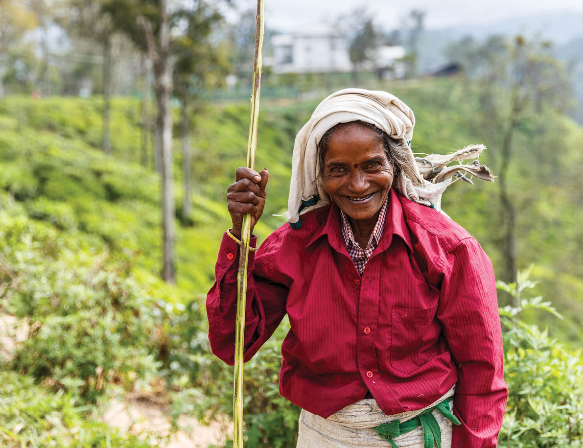 ELLA, SRI LANKA - JAN 17, 2017: selective focus of smiling senior asian woman on hill in Asia