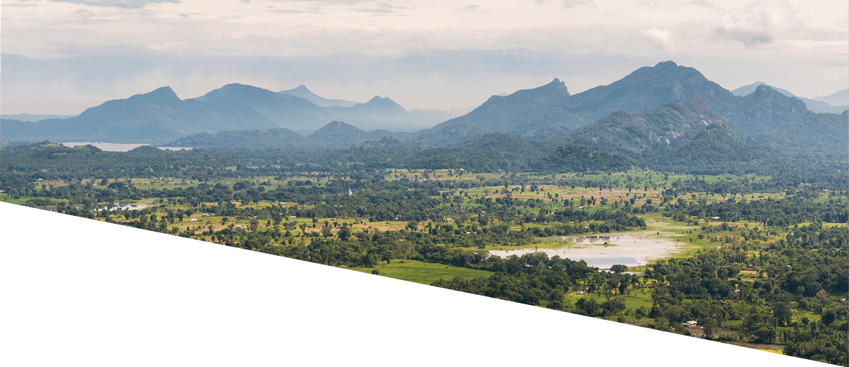 Mountain landscape of Sri Lanka. View from Sigiriya Rock Temple.